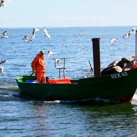 Ferienhaus Waldhaus No 15